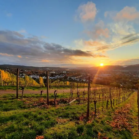 An Der Obermosel